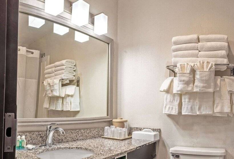 חדר סטנדרט, Quality Inn Milansandusky