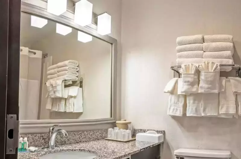 身障者適用キングサイズベッドルーム, Quality Inn Milansandusky