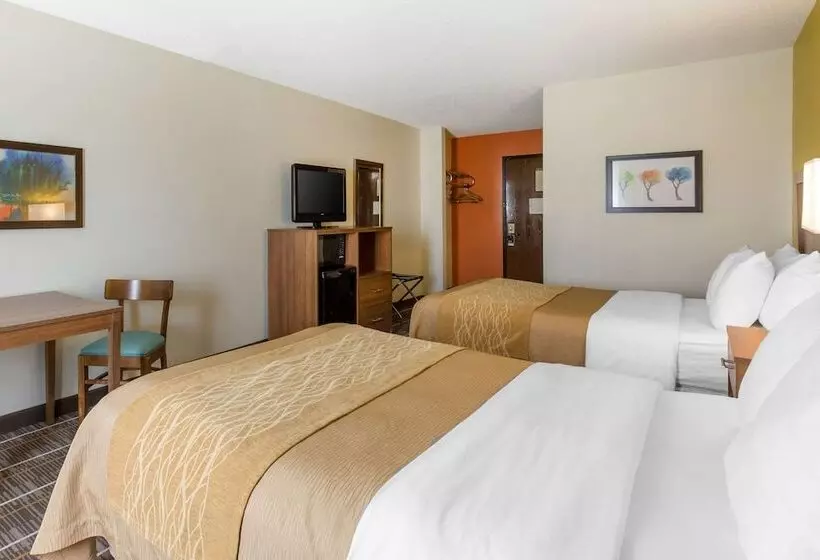 ２ダブルベッドのスタンダードルーム, Quality Inn Stephens Citywinchester South