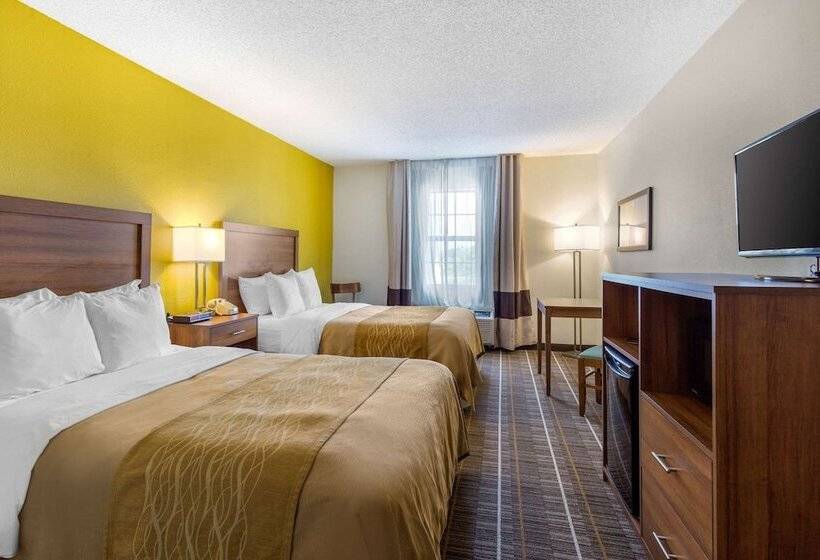 带2个双人床的标准工作室, Quality Inn Stephens Citywinchester South