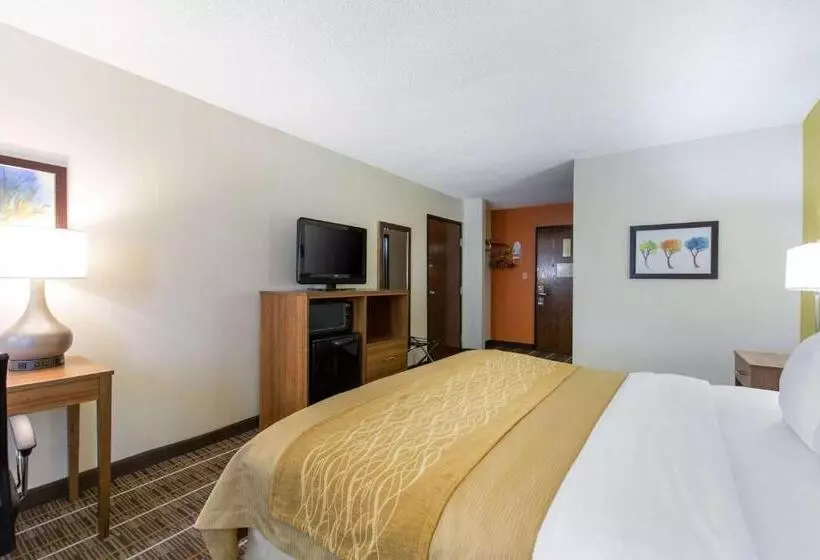 キングサイズベッドのスタンダードルーム, Quality Inn Stephens Citywinchester South