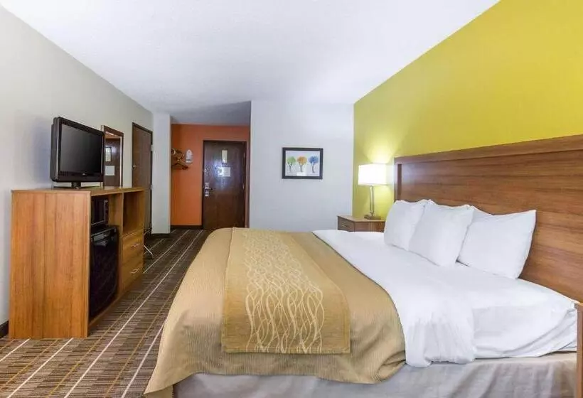 キングサイズベッドのスタンダードルーム, Quality Inn Stephens Citywinchester South