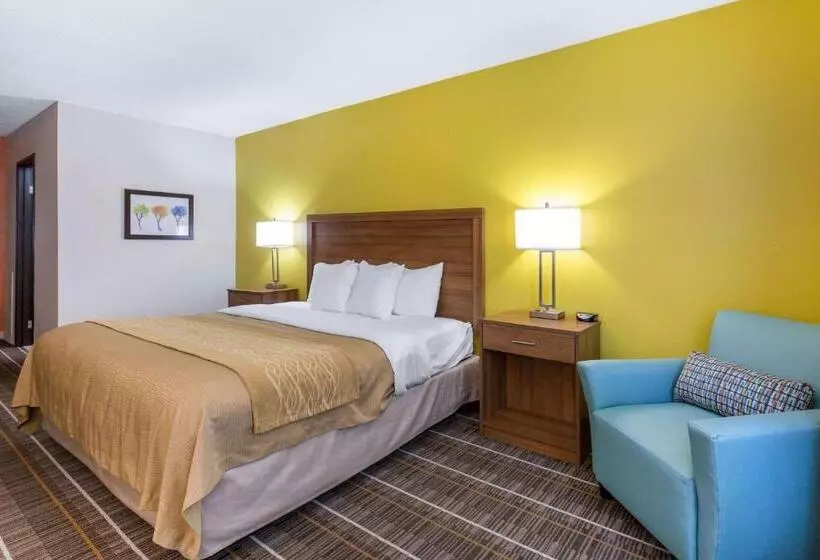 キングサイズベッドのスタンダードルーム, Quality Inn Stephens Citywinchester South