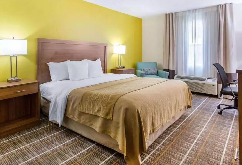 キングサイズベッドのスタンダードルーム, Quality Inn Stephens Citywinchester South