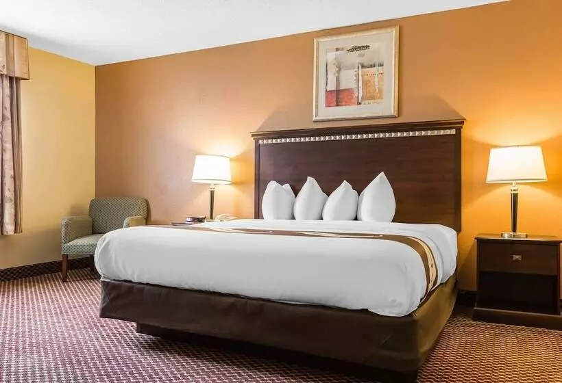 Sviitti King-vuode, Quality Inn & Suites Bloomington University Area