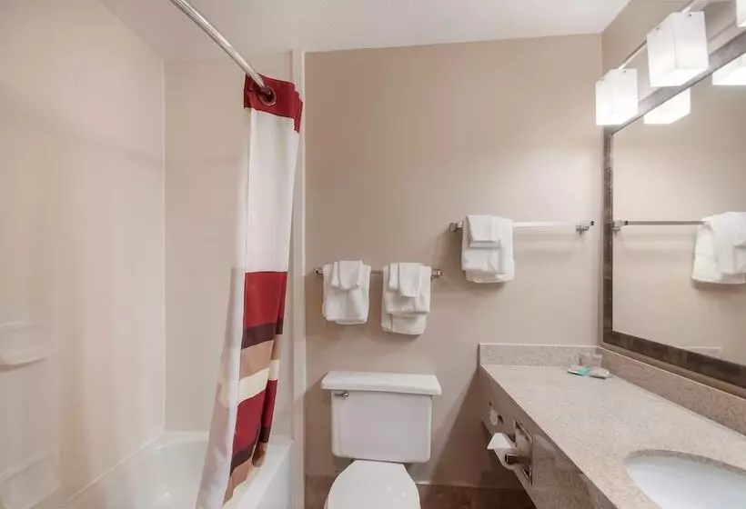 デラックスルーム, Red Roof Inn Dahlgren  Naval Base