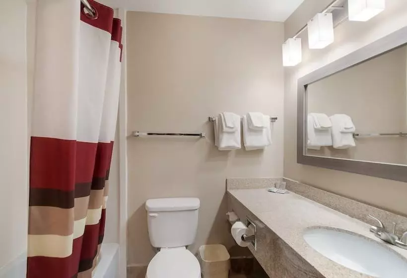 デラックスルーム, Red Roof Inn Dahlgren  Naval Base