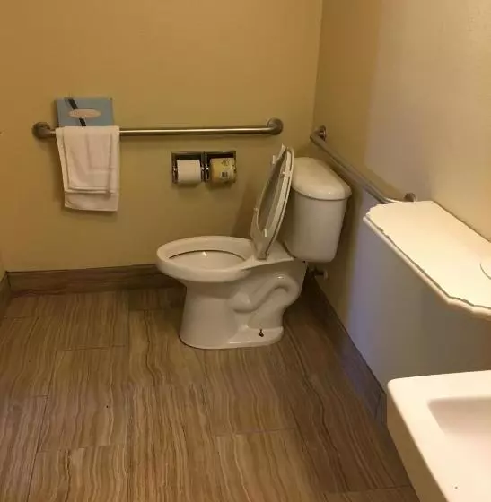 身障者適用キングサイズベッドルーム, Days Inn By Wyndham Brooksville