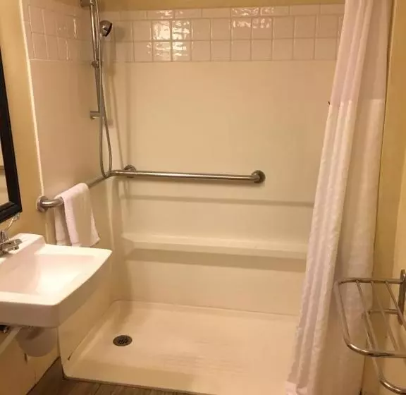 身障者適用キングサイズベッドルーム, Days Inn By Wyndham Brooksville