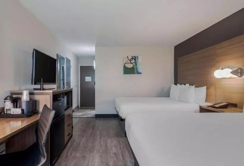 اتاق استاندارد, Best Western Corpus Christi Airport
