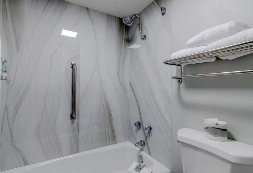 스탠다드 룸 킹사이즈 침대, Best Western Corpus Christi Airport