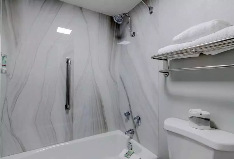 اتاق استاندارد با تخت بزرگ, Best Western Corpus Christi Airport