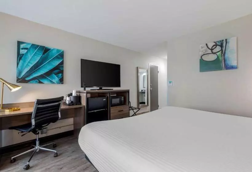 اتاق استاندارد با تخت بزرگ, Best Western Corpus Christi Airport