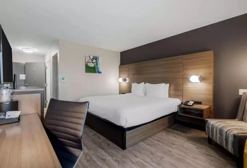 اتاق استاندارد با تخت بزرگ برای معلولان, Best Western Corpus Christi Airport