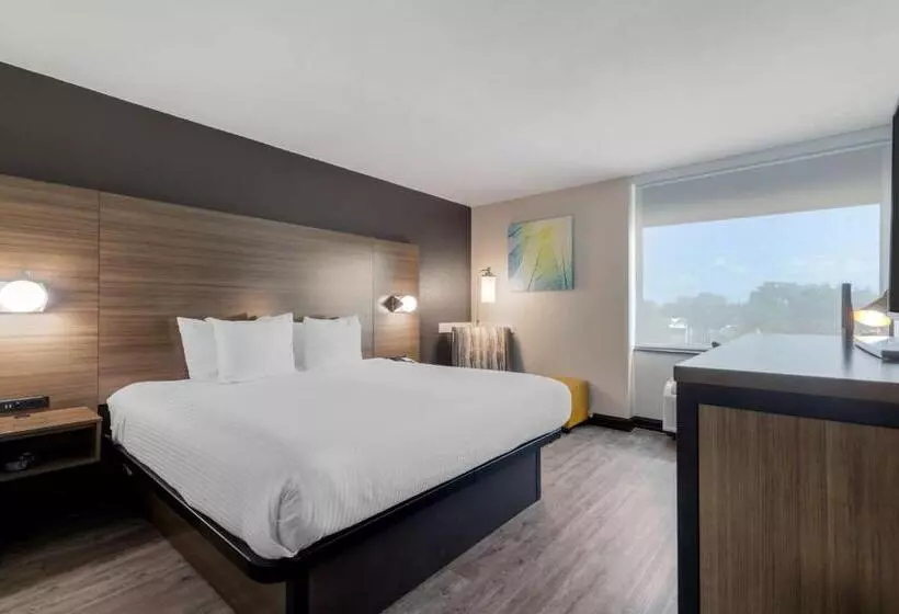 اتاق استاندارد با تخت بزرگ برای معلولان, Best Western Corpus Christi Airport