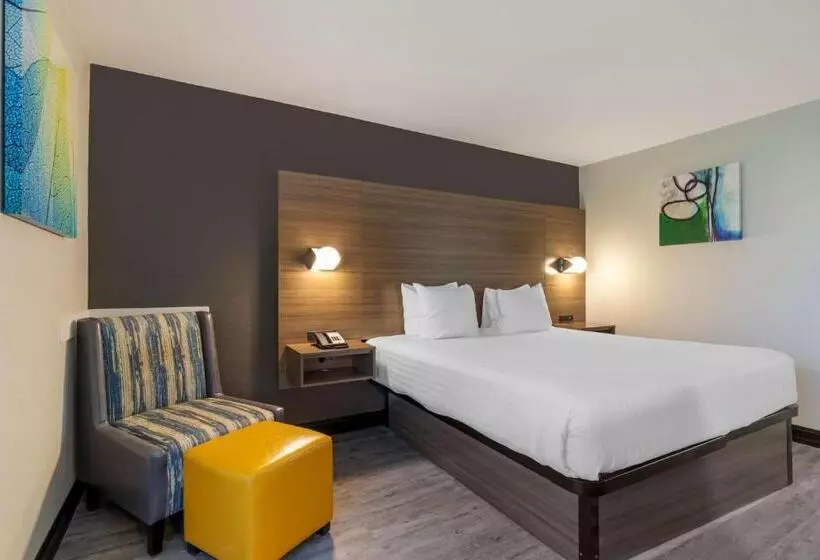 اتاق استاندارد با تخت بزرگ برای معلولان, Best Western Corpus Christi Airport
