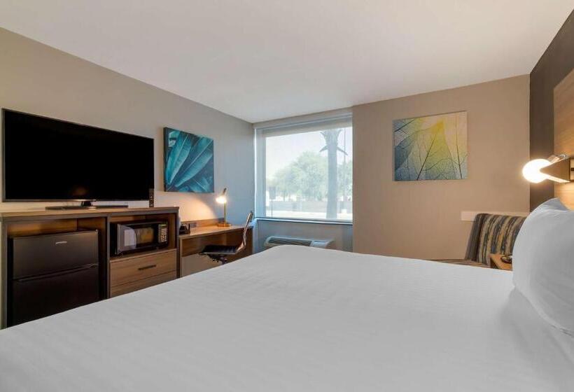 غرفة قياسية سرير كينج لذوى الإحتياجات الخاصة, Best Western Corpus Christi Airport