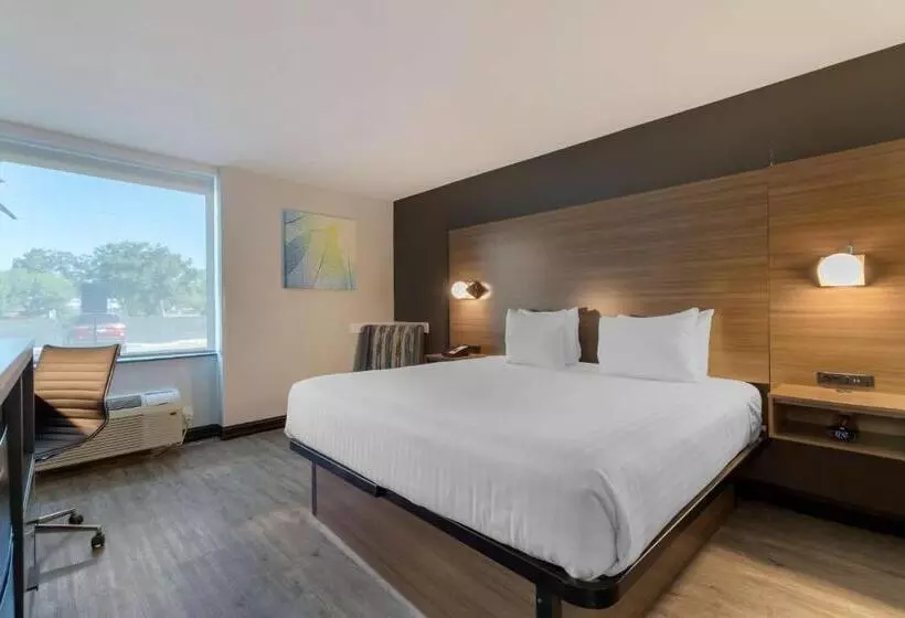 اتاق استاندارد با تخت بزرگ برای معلولان, Best Western Corpus Christi Airport