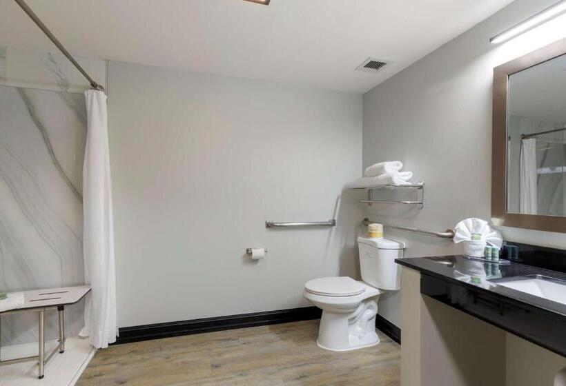 غرفة قياسية سرير كينج لذوى الإحتياجات الخاصة, Best Western Corpus Christi Airport