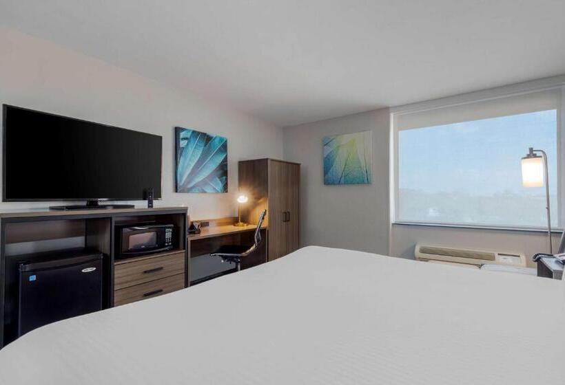 스탠다드 룸 킹사이즈 침대, Best Western Corpus Christi Airport