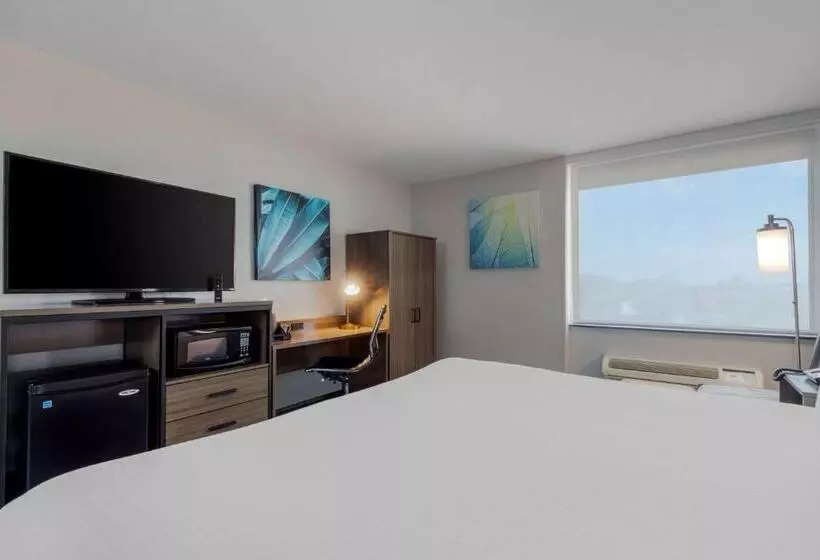اتاق استاندارد با تخت بزرگ, Best Western Corpus Christi Airport