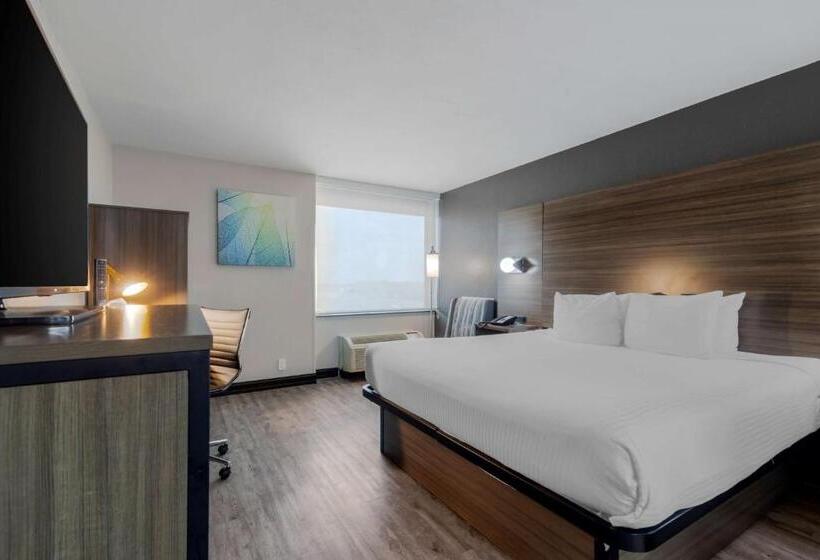 غرفة قياسية سرير كينج, Best Western Corpus Christi Airport