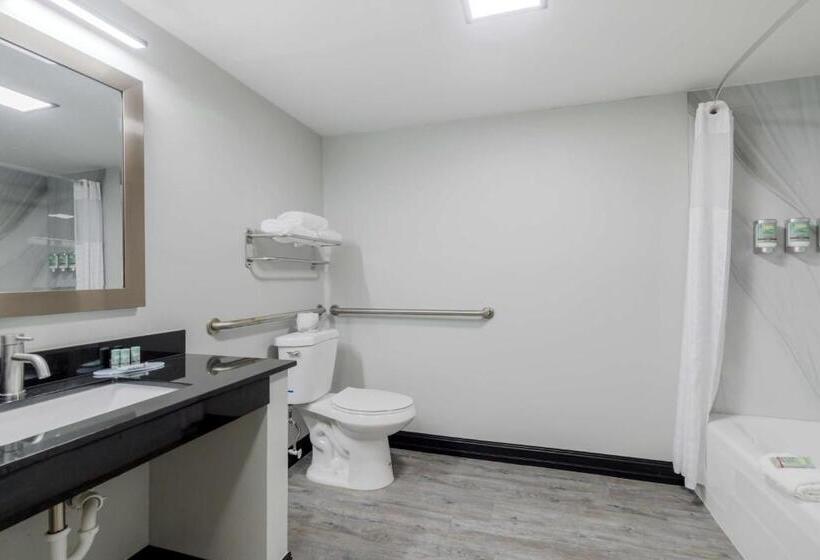 장애인을 위한 킹사이즈 침대 스탠다드 룸, Best Western Corpus Christi Airport