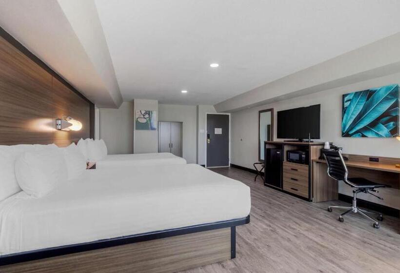 غرفة قياسية, Best Western Corpus Christi Airport