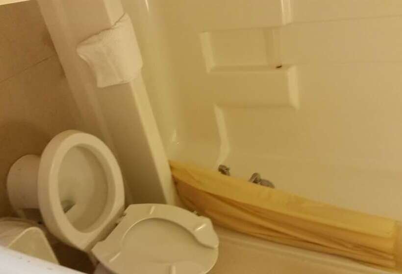 带2个双人床的标准工作室, Budgetel Pompano Beach