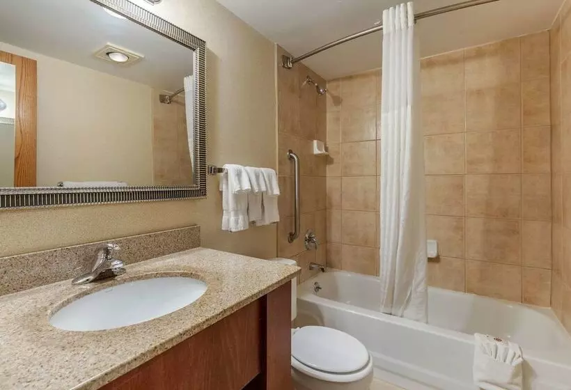 スイート, Suburban Studios Arlington Heights Elk Grove