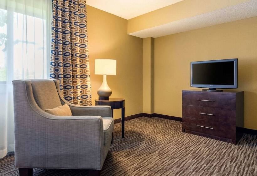 Suite, Suburban Studios Arlington Heights Elk Grove