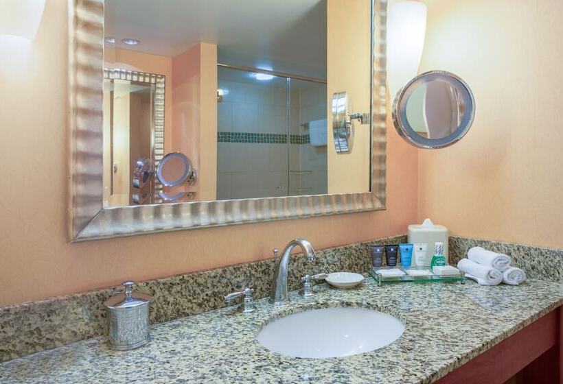 חדר סטנדרט, Crowne Plaza Dulles Airport, An Ihg