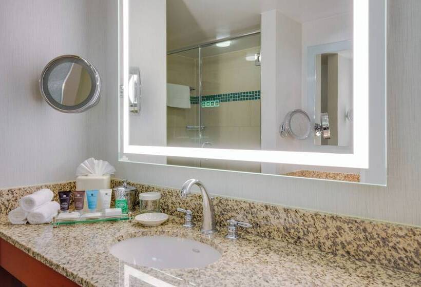 חדר סטנדרט, Crowne Plaza Dulles Airport, An Ihg