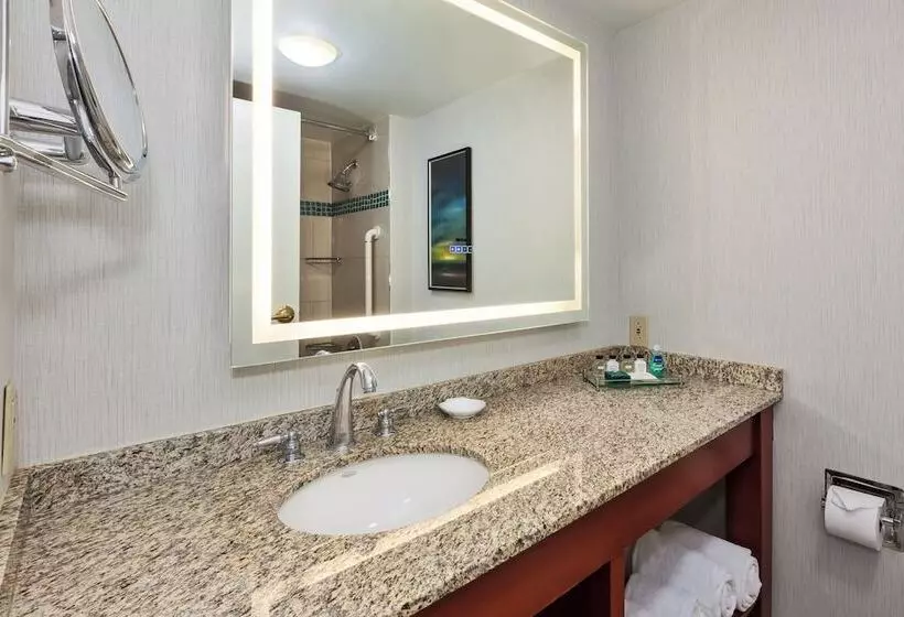 プレミアムルーム, Crowne Plaza Dulles Airport By Ihg