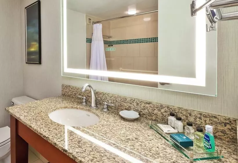 プレミアムルーム, Crowne Plaza Dulles Airport By Ihg