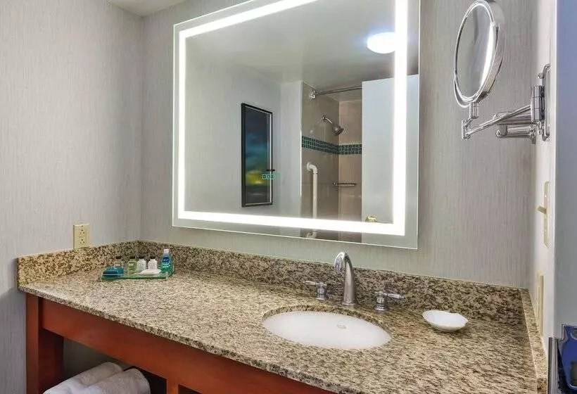 プレミアムルーム, Crowne Plaza Dulles Airport By Ihg
