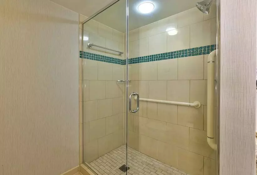 プレミアムルーム, Crowne Plaza Dulles Airport By Ihg