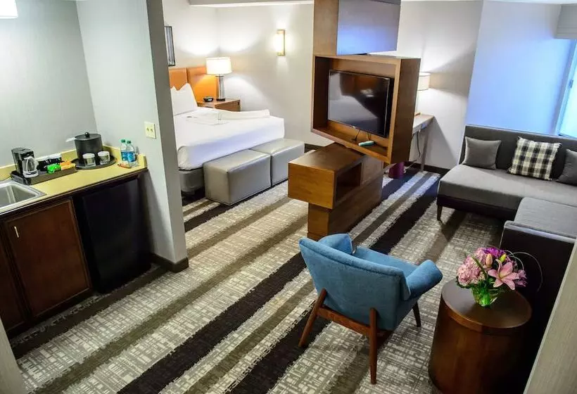 身障者適用スタンダードルーム, Crowne Plaza Dulles Airport By Ihg