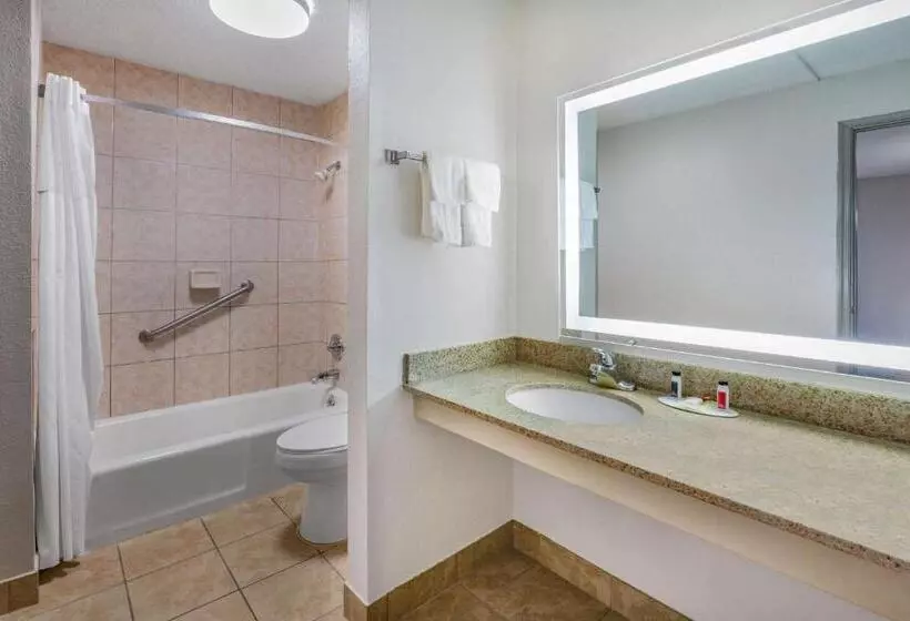 اتاق استاندارد با تخت بزرگ, Days Inn By Wyndham Roanoke Near I81
