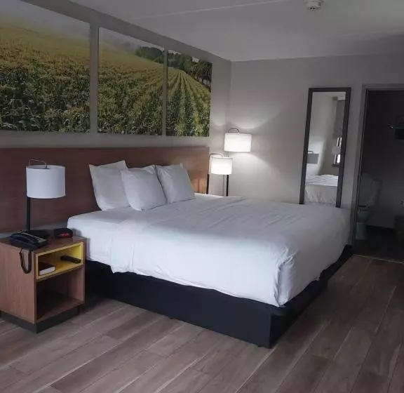キングサイズベッドのスタンダードルーム, Days Inn By Wyndham Vineland
