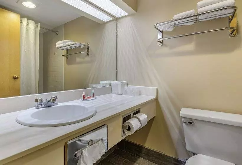 ２ダブルベッドのスタンダードルーム, Econo Lodge & Suites Southern Pines
