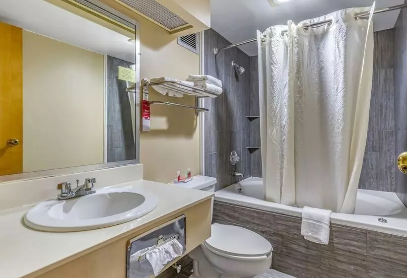 プレジデントスイートルーム, Econo Lodge & Suites Southern Pines   Pinehurst