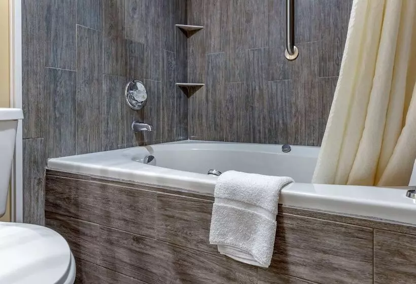 プレジデントスイートルーム, Econo Lodge & Suites Southern Pines   Pinehurst