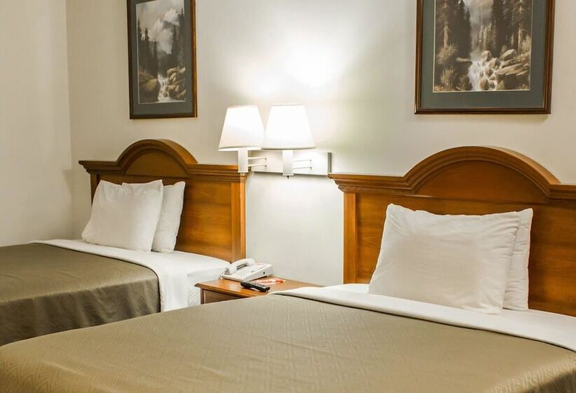 带2个双人床的标准工作室, Econo Lodge Goldsboro Hwy 70