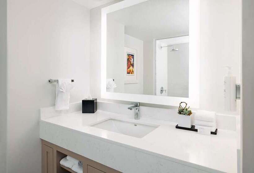 带2个卧室的套房, Embassy Suites By Hilton Cincinnati Rivercenter