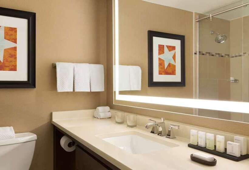 带2个卧室的套房, Embassy Suites By Hilton Cincinnati Rivercenter