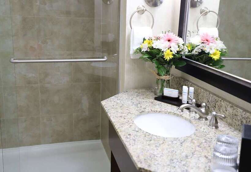 带2个卧室的套房, Embassy Suites By Hilton Cincinnati Rivercenter