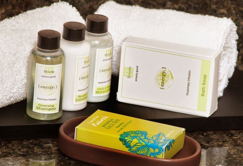 스위트, Embassy Suites By Hilton Crystal City National Airport