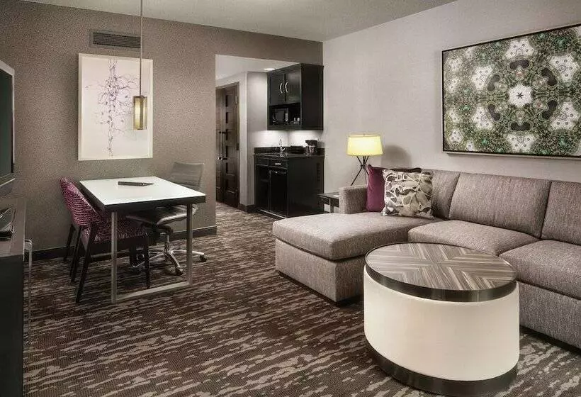 سوئیت با چشمانداز, Embassy Suites By Hilton Crystal City National Airport
