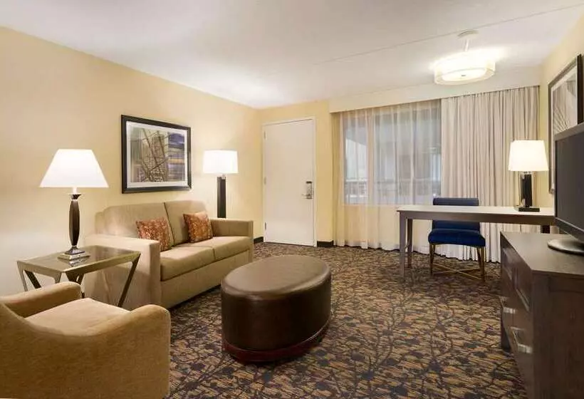 سوییت, Embassy Suites By Hilton Crystal City National Airport